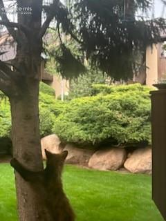 Tiny photo for 327 El Paso Boulevard #H, Manitou Springs, CO 80829 (MLS # 3848138)