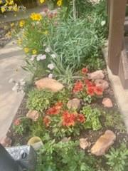 Tiny photo for 327 El Paso Boulevard #H, Manitou Springs, CO 80829 (MLS # 3848138)