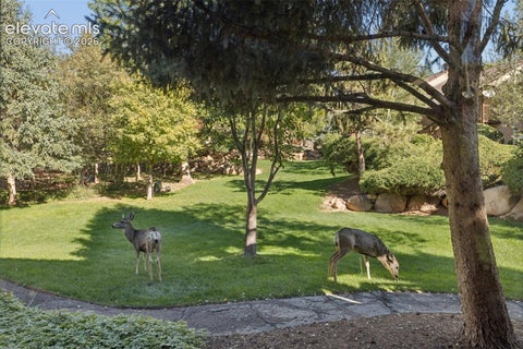 Tiny photo for 327 El Paso Boulevard #H, Manitou Springs, CO 80829 (MLS # 3848138)