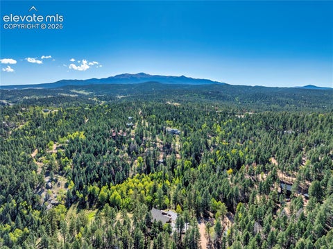 Tiny photo for 80 Feldspar Road, Florissant, CO 80816 (MLS # 8893802)