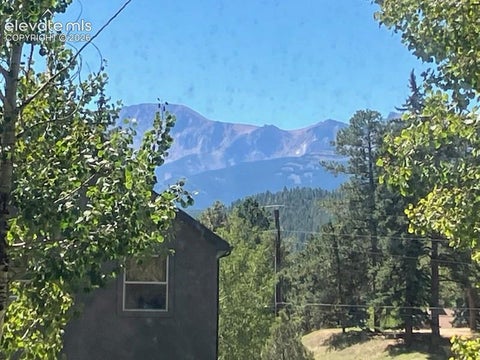 Tiny photo for 305 S Fairview Street, Woodland Park, CO 80863 (MLS # 4506774)