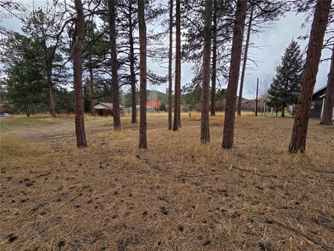 Photo of 224 S Fairview Street, Woodland Park, CO 80863 (MLS # 7676104)