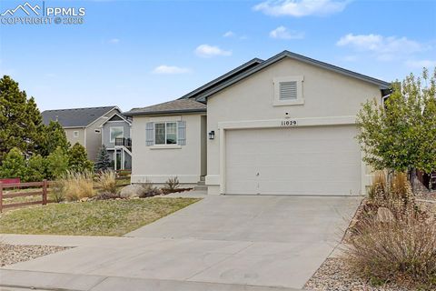 Photo of 11029 Falling Snow Lane, Colorado Springs, CO 80908 (MLS # 8891721)