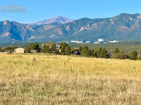 Photo of 505 Struthers Loop, Colorado Springs, CO 80921 (MLS # 7844966)