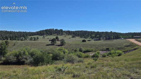 Photo of 99 Uintah Ridge Road, Florissant, CO 80816 (MLS # 1110420)