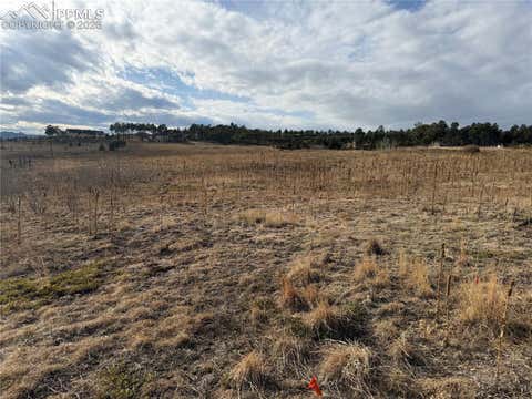 Photo of 13810 Wildoak Drive, Black Forest, CO 80908 (MLS # 4513661)