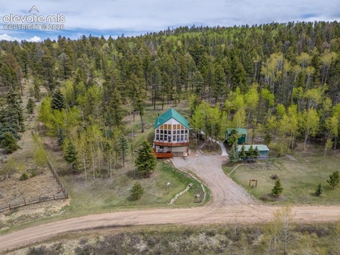 Tiny photo for 124 Bear Trail, Florissant, CO 80816 (MLS # 7585923)