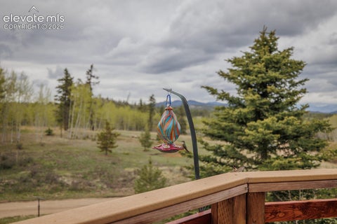 Tiny photo for 124 Bear Trail, Florissant, CO 80816 (MLS # 7585923)