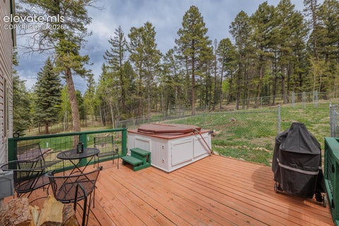 Tiny photo for 124 Bear Trail, Florissant, CO 80816 (MLS # 7585923)