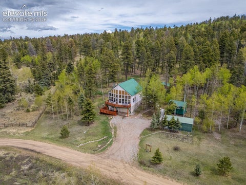 Tiny photo for 124 Bear Trail, Florissant, CO 80816 (MLS # 7585923)