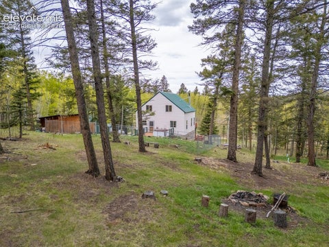 Tiny photo for 124 Bear Trail, Florissant, CO 80816 (MLS # 7585923)