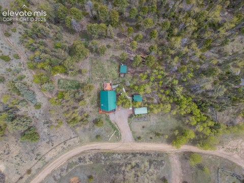 Tiny photo for 124 Bear Trail, Florissant, CO 80816 (MLS # 7585923)