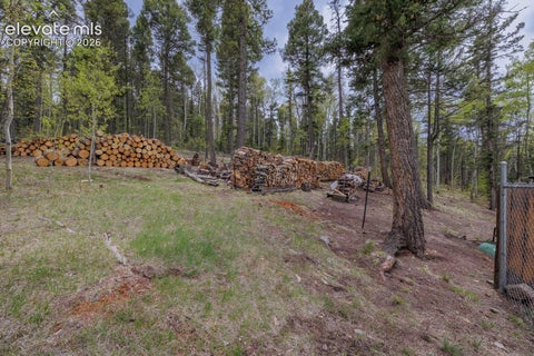 Tiny photo for 124 Bear Trail, Florissant, CO 80816 (MLS # 7585923)