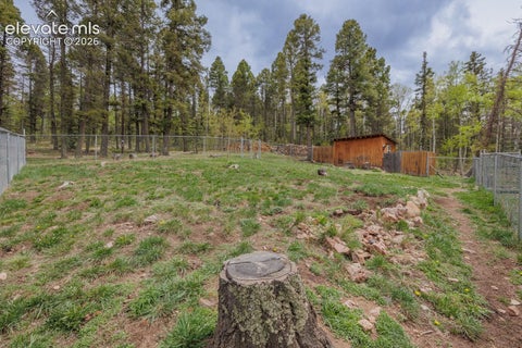 Tiny photo for 124 Bear Trail, Florissant, CO 80816 (MLS # 7585923)
