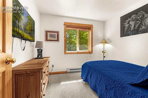 Tiny photo for 108 Spring Valley Lane, Florissant, CO 80816 (MLS # 7173046)