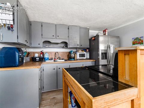 Tiny photo for 1611 Locust Street, Canon City, CO 81212 (MLS # 8013722)