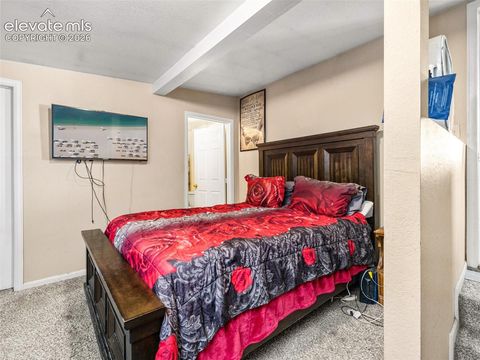 Tiny photo for 1611 Locust Street, Canon City, CO 81212 (MLS # 8013722)