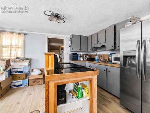 Tiny photo for 1611 Locust Street, Canon City, CO 81212 (MLS # 8013722)