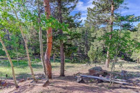Tiny photo for 4 Honeysuckle Road, Woodland Park, CO 80863 (MLS # 1922716)