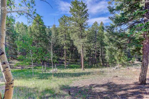 Tiny photo for 4 Honeysuckle Road, Woodland Park, CO 80863 (MLS # 1922716)