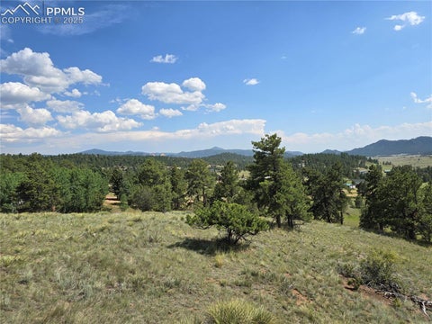 Photo of 71 Elkhorn Circle, Florissant, CO 80816 (MLS # 7110659)