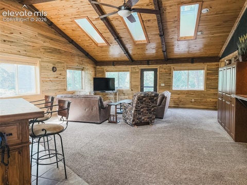 Tiny photo for 269 Southpark Road, Florissant, CO 80816 (MLS # 3584662)