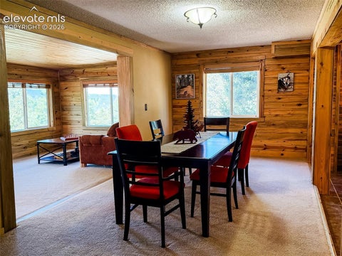 Tiny photo for 269 Southpark Road, Florissant, CO 80816 (MLS # 3584662)