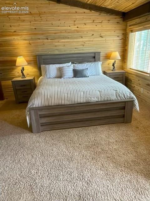 Tiny photo for 269 Southpark Road, Florissant, CO 80816 (MLS # 3584662)