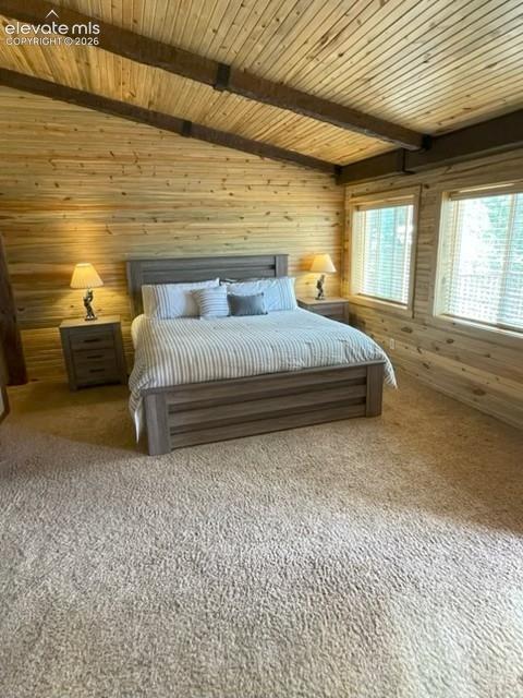 Tiny photo for 269 Southpark Road, Florissant, CO 80816 (MLS # 3584662)