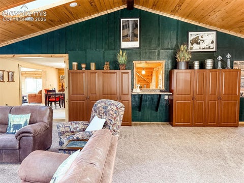 Tiny photo for 269 Southpark Road, Florissant, CO 80816 (MLS # 3584662)