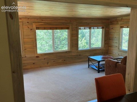 Tiny photo for 269 Southpark Road, Florissant, CO 80816 (MLS # 3584662)