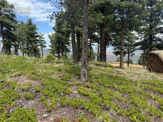 307 GRAND AVE, MANITOU SPRINGS, CO 80829 - Image ce0e8ce3f2e14aaf42db4832cd281189/1779957638