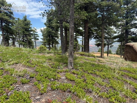 Photo of 254 Grand Horizon View, Manitou Springs, CO 80829 (MLS # 8164975)