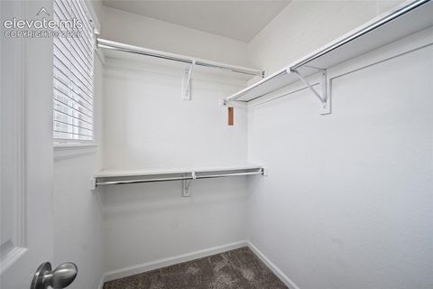Tiny photo for 6585 Baytree Grove, Colorado Springs, CO 80923 (MLS # 8059923)