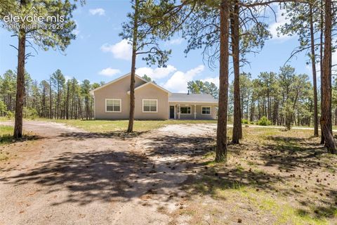 Photo of 13355 Pinery Drive, Colorado Springs, CO 80908 (MLS # 9468465)
