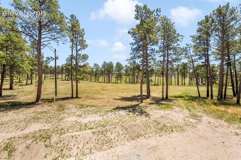 Tiny photo for 13355 Pinery Drive, Colorado Springs, CO 80908 (MLS # 9468465)