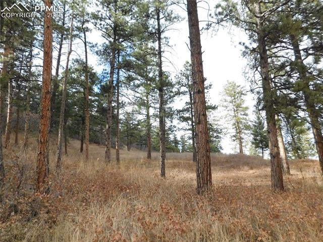 8055 Acoma Drive, Larkspur, CO, 80118 8055 Acoma Drive