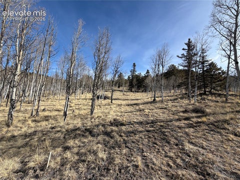 Photo of 32 Sugar Loaf Lane, Jefferson, CO 80456 (MLS # 5213903)