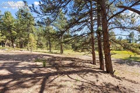 Tiny photo for 240 N Mountain Estates Road, Florissant, CO 80816 (MLS # 2707848)
