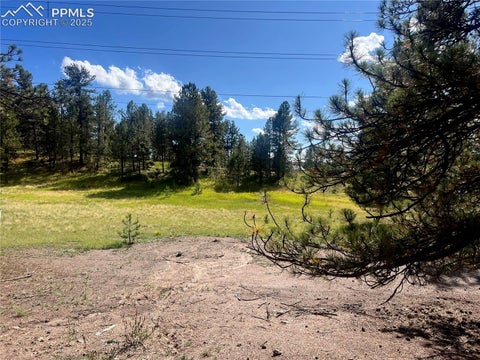 Tiny photo for 240 N Mountain Estates Road, Florissant, CO 80816 (MLS # 2707848)