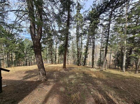 Tiny photo for 855 Will Stutley Drive, Divide, CO 80814 (MLS # 5180961)