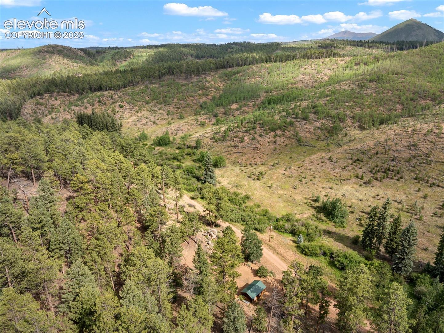3919 County Road 33