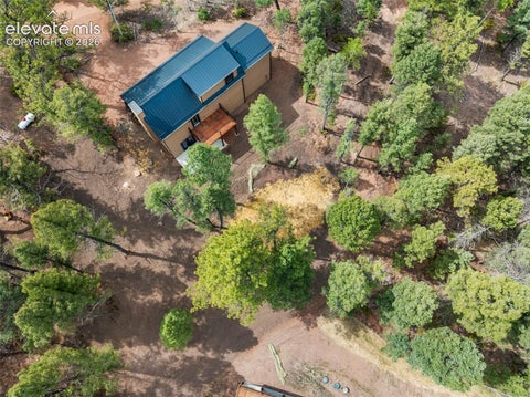 Tiny photo for 15 Juniper Circle, Florissant, CO 80816 (MLS # 7157089)