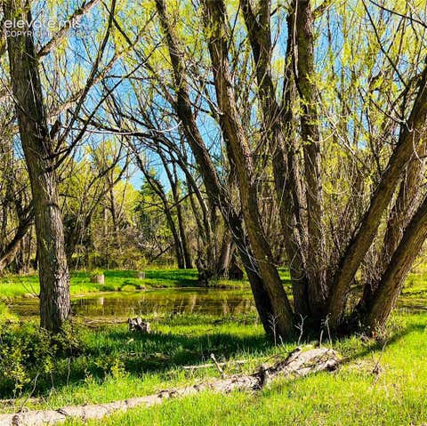 Tiny photo for 222 Clio Avenue, Palmer Lake, CO 80133 (MLS # 7749321)