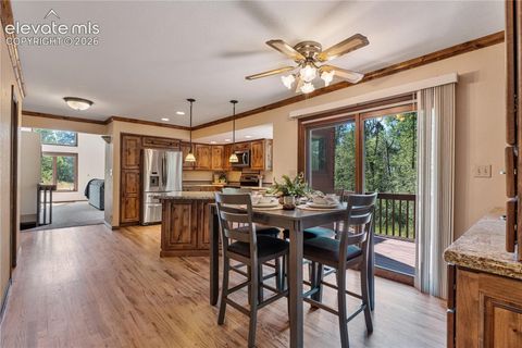 Tiny photo for 222 Clio Avenue, Palmer Lake, CO 80133 (MLS # 7749321)
