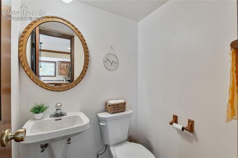 Tiny photo for 222 Clio Avenue, Palmer Lake, CO 80133 (MLS # 7749321)