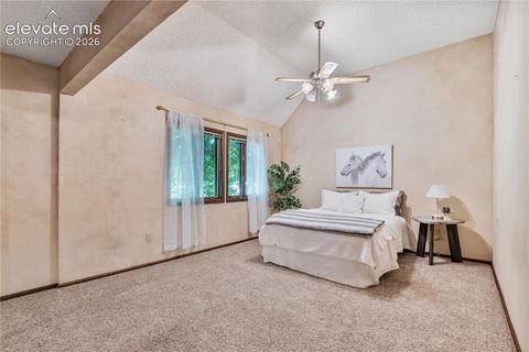 Tiny photo for 222 Clio Avenue, Palmer Lake, CO 80133 (MLS # 7749321)