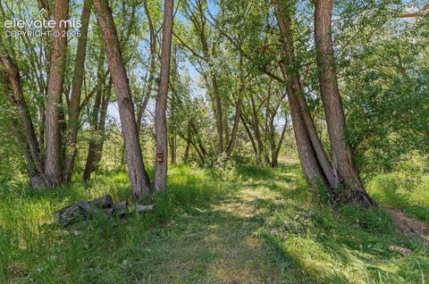 Tiny photo for 222 Clio Avenue, Palmer Lake, CO 80133 (MLS # 7749321)