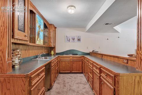 Tiny photo for 222 Clio Avenue, Palmer Lake, CO 80133 (MLS # 7749321)