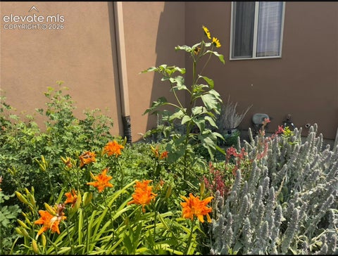 Tiny photo for 1748 N Wyatt Earp Lane, Pueblo West, CO 81007 (MLS # 5613543)